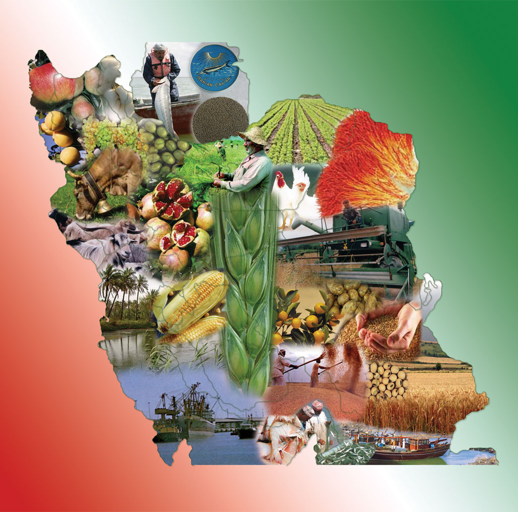 بهبود ۴...